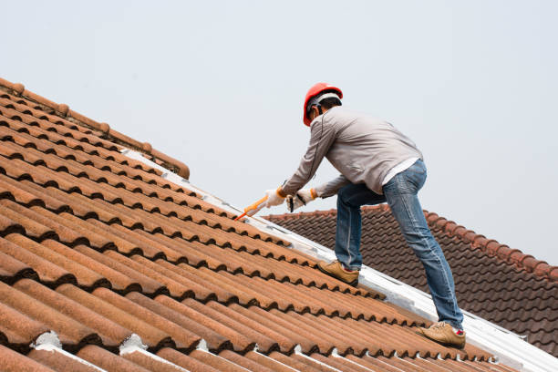 Roof Insulation in Pinedale, WY